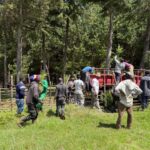 Tree Planting Initiative 01