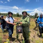 Tree Planting Initiative 11