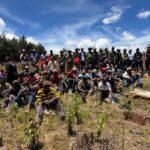 Tree Planting Initiative 14