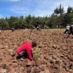 Tree Planting Initiative 17