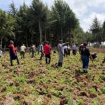 Tree Planting Initiative 20