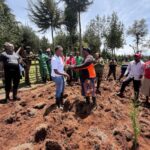 Tree Planting Initiative 22